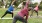 a group of people doing yoga